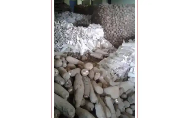 See Photos Of Tubers Of Yam Being Packaged For Exportation